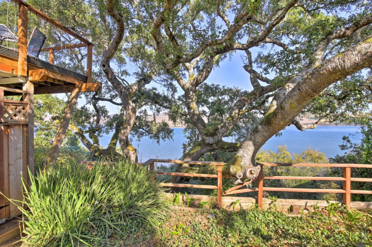 Hillside Home With Deck And Views Of Tomales Bay! Inverness Ngoại thất bức ảnh