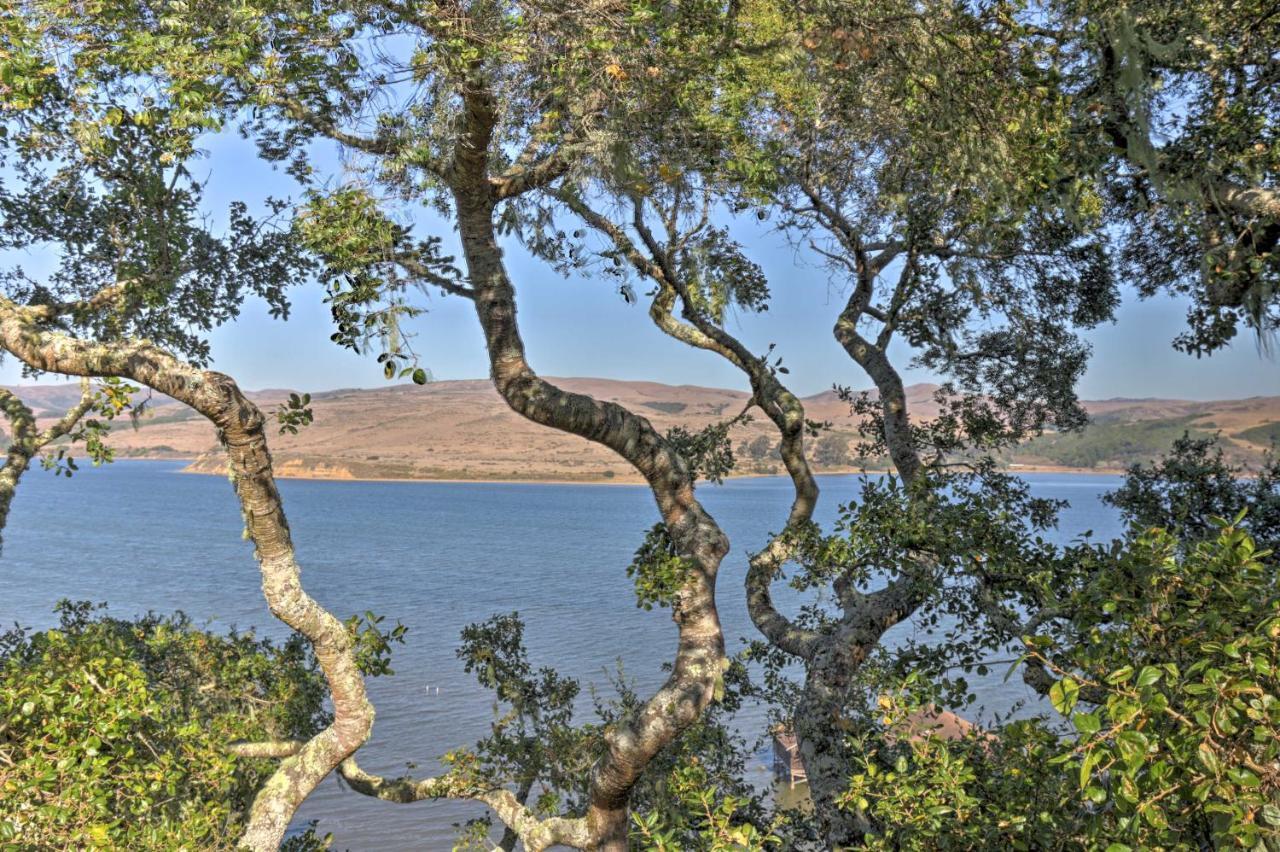 Hillside Home With Deck And Views Of Tomales Bay! Inverness Ngoại thất bức ảnh